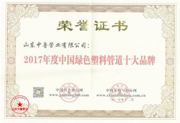 2017年度中國(guó)綠色管道十大品牌榮譽(yù)證書